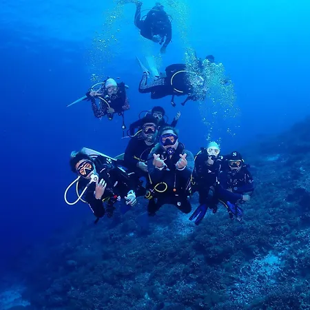 Hibiscus Dive Inn
