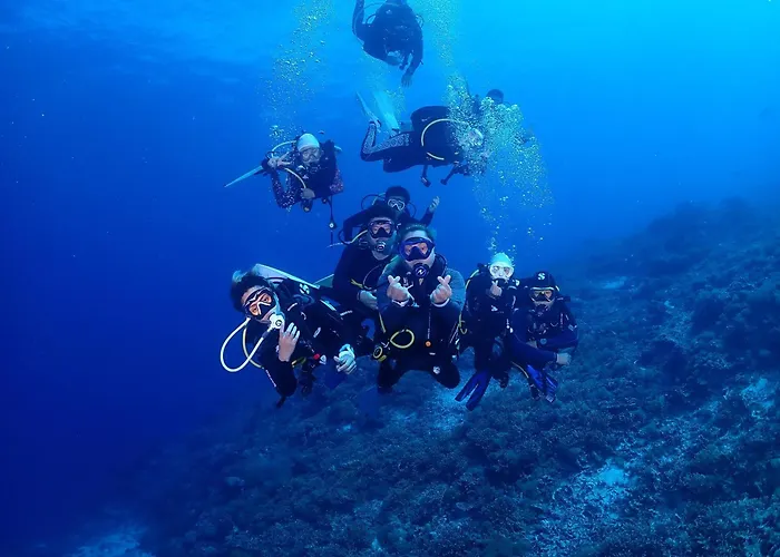 Hibiscus Dive 여관 Pooc